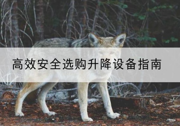 绵竹升降货梯厂家推荐-*安全选购升降设备指南