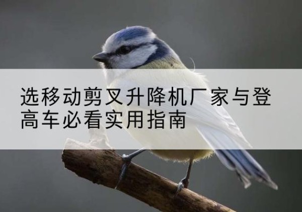 绵竹电动升降机厂家-选移动剪叉升降机厂家与登高车必看实用指南